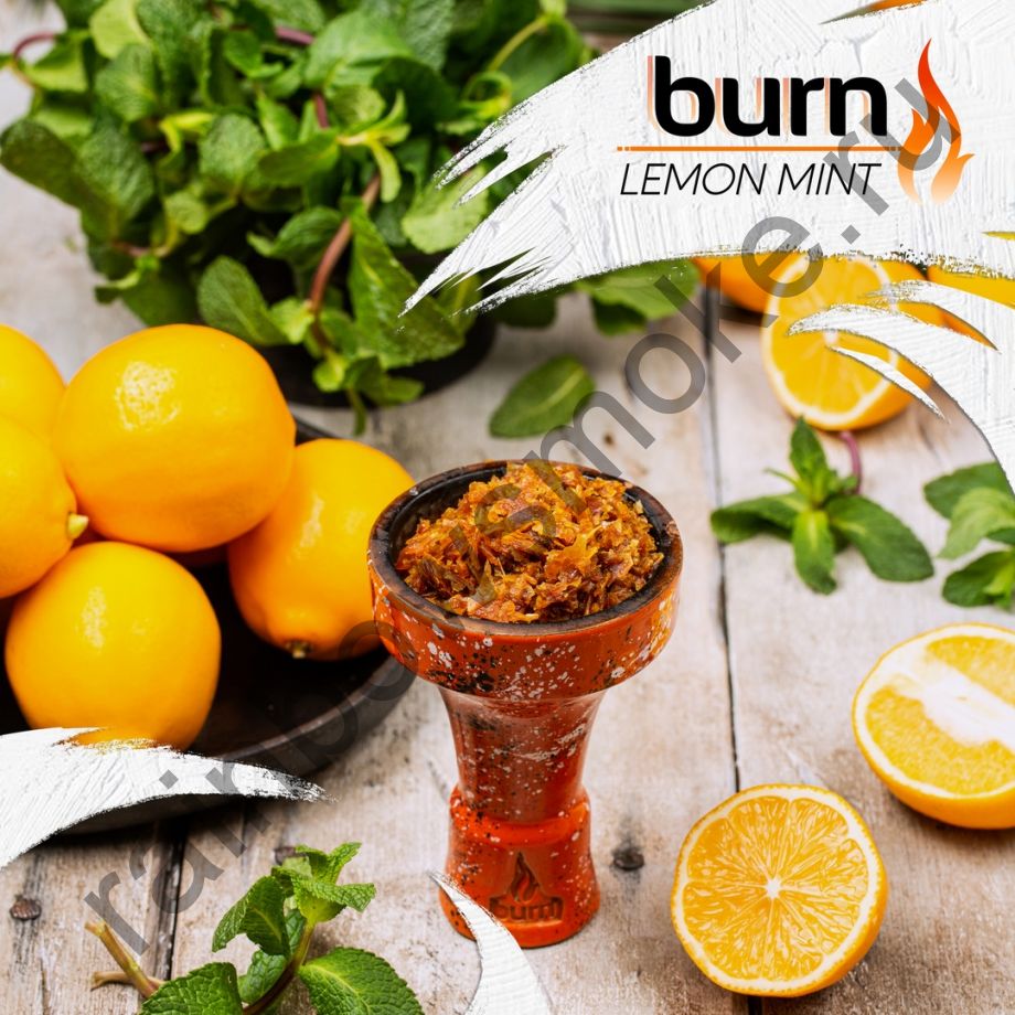 Burn 100 гр - Lemon Mint (Лимон с Мятой)