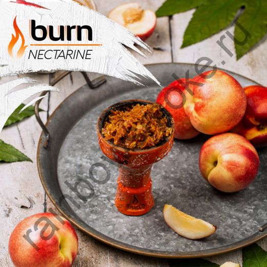 Burn 100 гр - Nectarine (Нектарин)