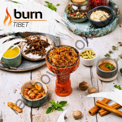Burn 100 гр - Tibet (Тибет)