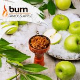 Burn 200 гр - Famous Apple (Знаменитое Яблоко)