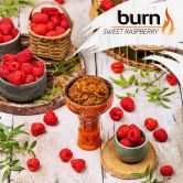 Burn 200 гр - Sweet Raspberry (Сладкая Малина)