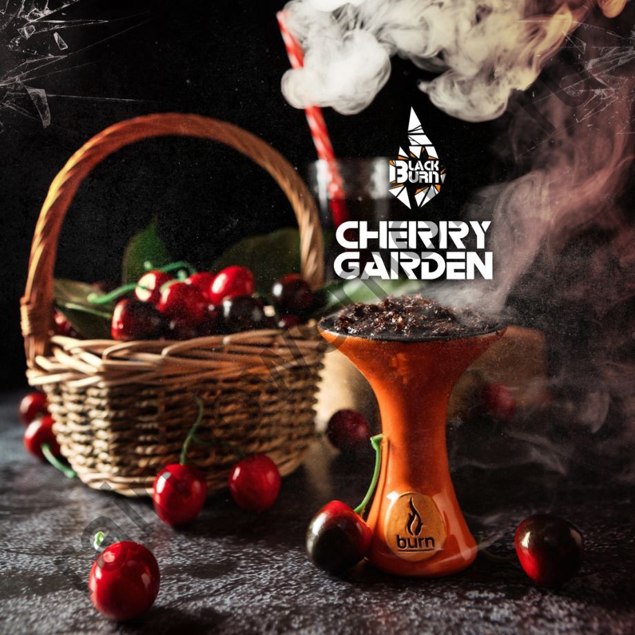 Black Burn 100 гр - Cherry Garden (Вишневый Сад)