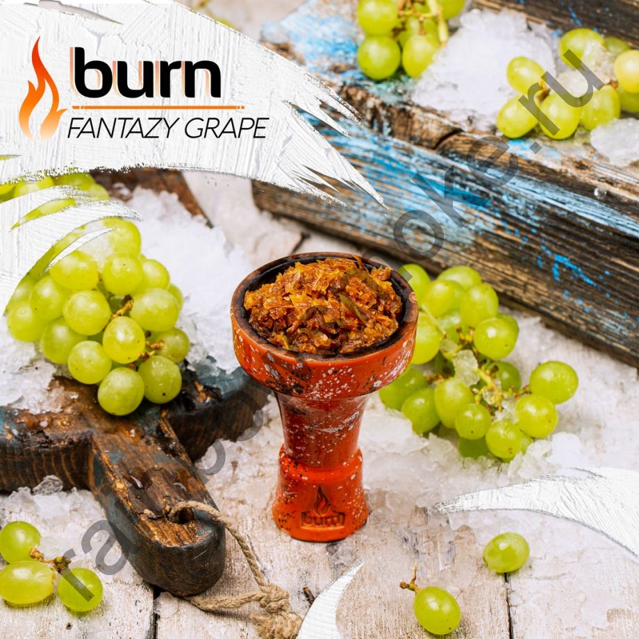 Burn 100 гр - Fantazy Grape (Фантастический Виноград)