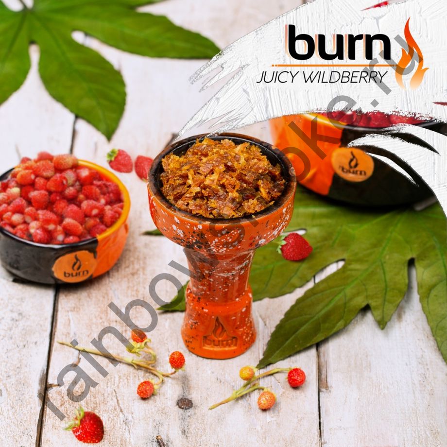 Burn 100 гр - Juicy Wildberry (Сочная Земляника)