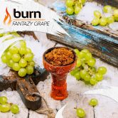 Burn 200 гр - Fantazy Grape (Фэнтези Грейп)