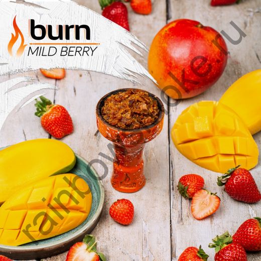 Burn 200 гр - Mild Berry (Милд Бэрри)