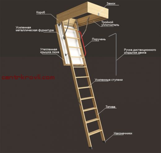 Чердачная лестница Docke Lux деревянная 300х70х120 см