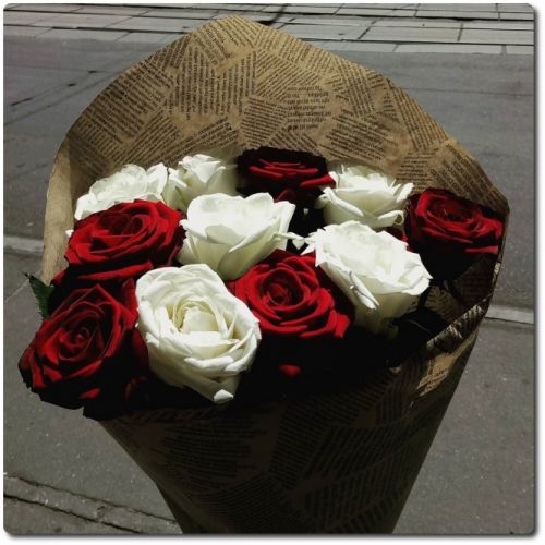 Розы красные и белые от 15 шт.