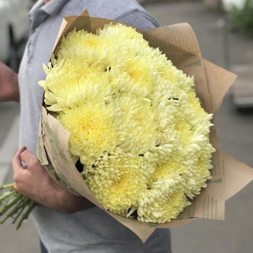 15 одноголовых хризантем