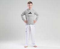 Толстовка Adidas с капюшоном (Худи) детская Community Hoody Taekwondo Kids серо-черная, размер 164, артикул adiCHTKD-K