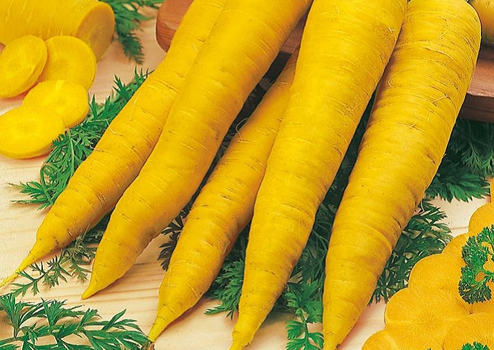 Желтая морковь купить