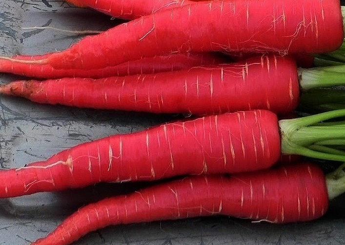 Купить красную морковь