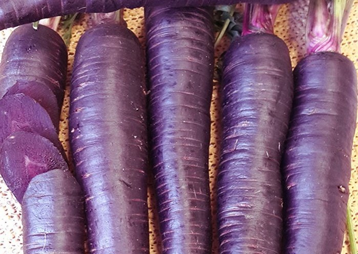 Фиолетовая морковь купить