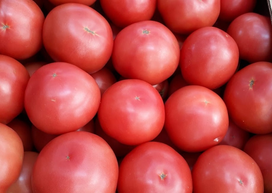 Купить томаты оптом