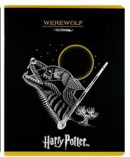 Тетрадь 48 листов в клетку «Гарри Поттер», обложка мелованный картон, тиснение фольгой