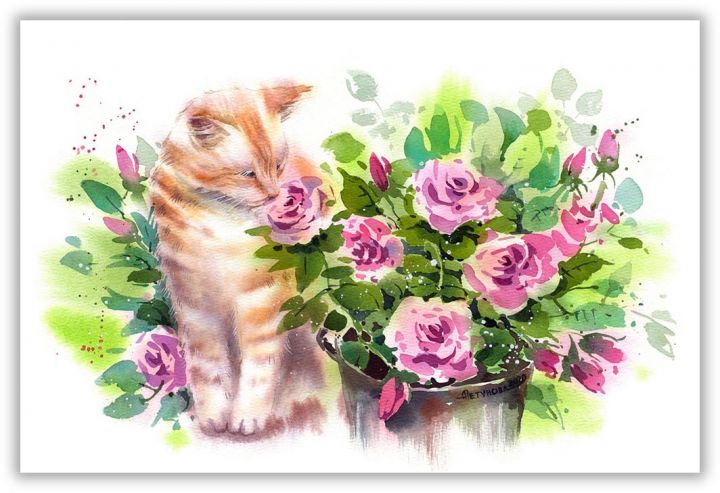 Кот с розами