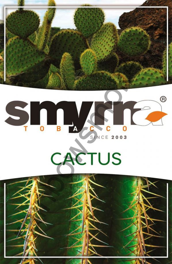 Smyrna 1 кг - Cactus (Кактус)
