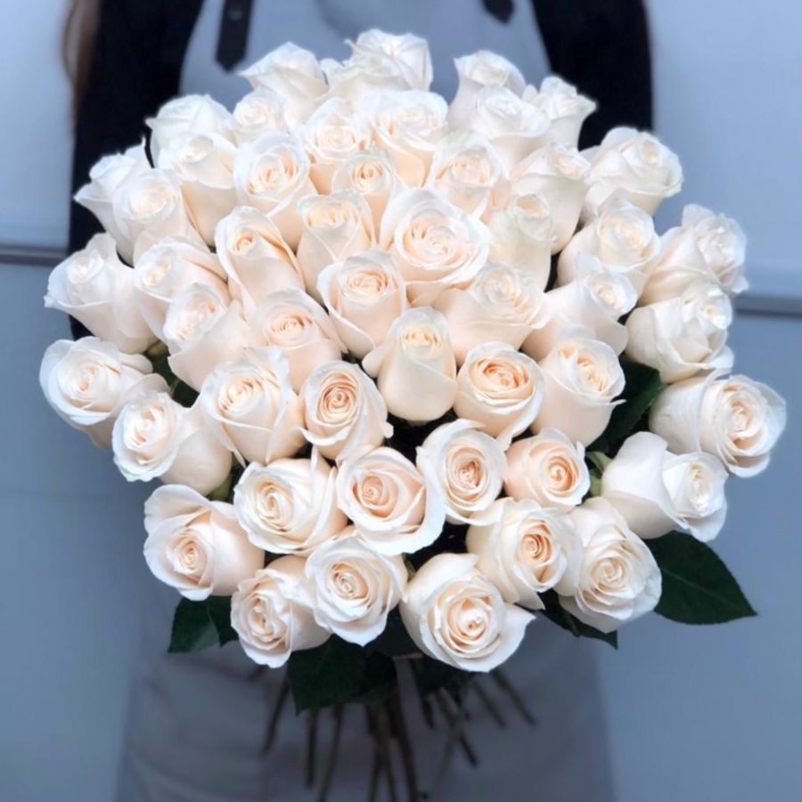 51 белая роза (Эквадорская) 50 см