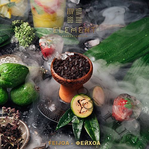 Element (40gr) (ВОДА) - Feijoa (Фейхоа)