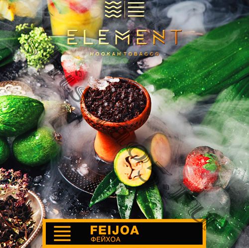 Element (40gr) (ЗЕМЛЯ) - Feijoa (Фейхоа)