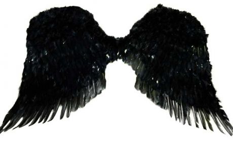 Крылья перьевые черные (90*65 см)