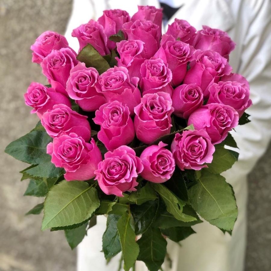 25 шикарных розовых роз (Эквадор 60см)