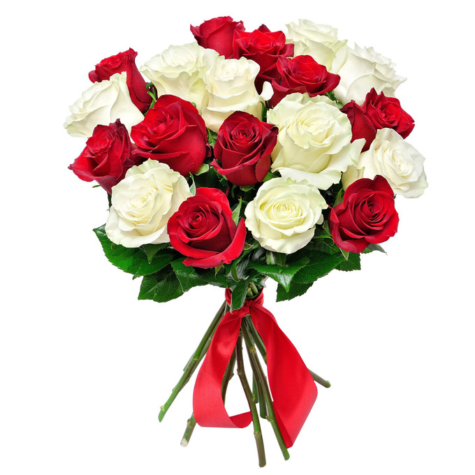 "Лед и Пламя" розы красные и белые 60 см