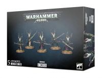 Warhammer 40,000: Drukhari Incubi