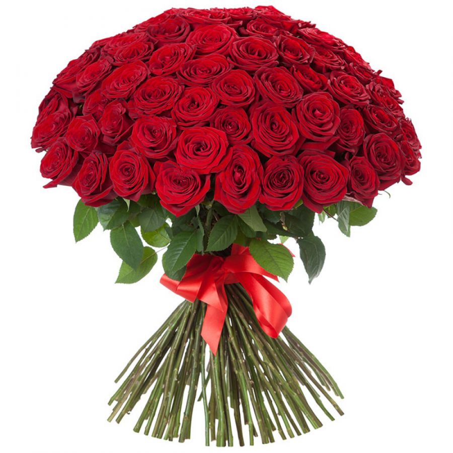 Красные розы от 51 штуки