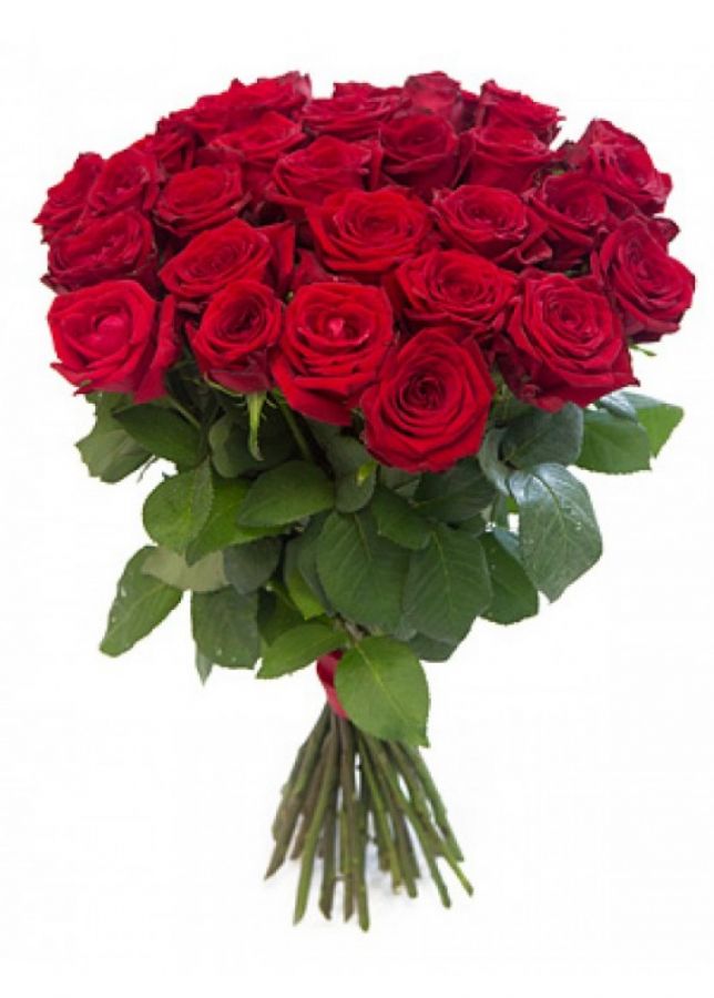 Розы красные 60 см Эквадор