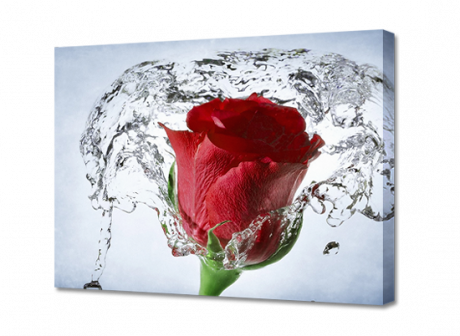 Картина на холсте Роза в воде