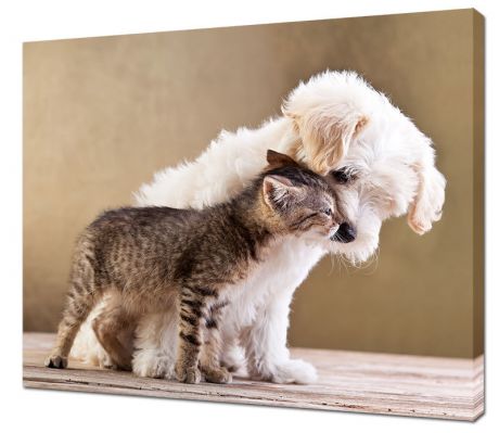 Картина на холсте Щенок и котенок