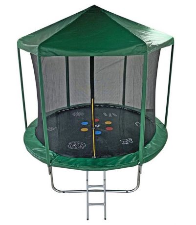 Батут 10FT 3,05м SportElite HOME с принтом, защитной сеткой, крышей и лестницей FR-30-10FT
