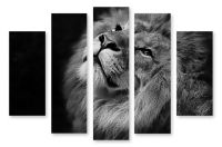 Модульная картина Черно-белый лев