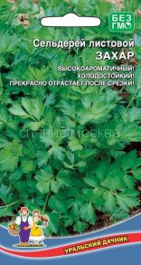 Сельдерей листовой Захар (Уральский Дачник)