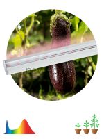 FITO Линейные светильники HOME ЭРА LLED-05-T5-FITO-14W-W линейный LED светильник ФИТО