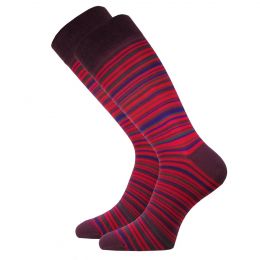 Мужские цветные носки  с418 бордовая  полоска