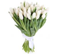 Букет из белых тюльпанов, 25 шт в красивой упаковке