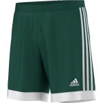 Шорты adidas Tastigo 15 Shorts зелёные