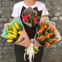 15 тюльпанов микс в упаковке