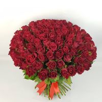 101 красная роза с лентой 40см