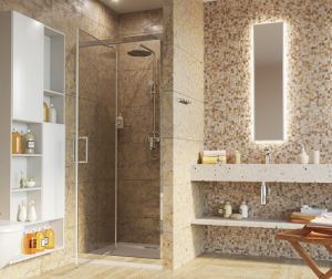 Душевая дверь в нишу WasserKRAFT Salm 27I04