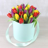 Разноцветные тюльпаны в шляпной коробке