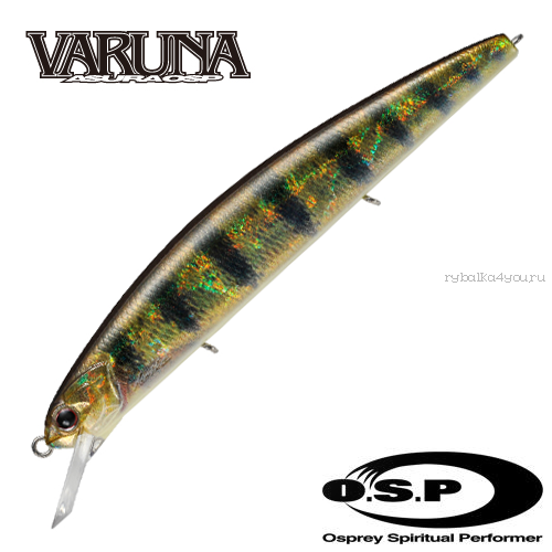Воблер OSP Varuna 110F 110 мм / 14,2 гр / Заглубление: 0,5 - 1,8 м / цвет: RPO69 (JP)