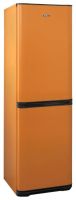 Холодильник Бирюса T340NF Оранжевый