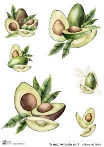 Avocado set 3