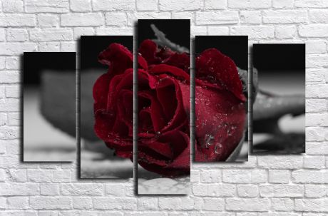 Модульная картина Алая роза