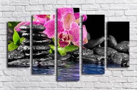 Модульная картина Орхидея в воде
