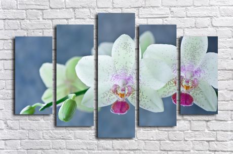 Модульная картина Ветка орхидеи