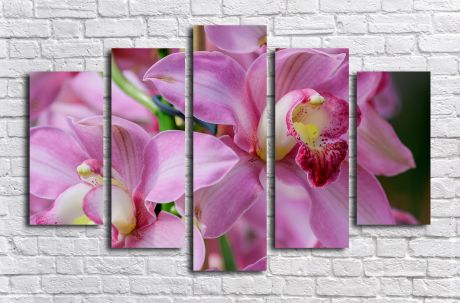 Модульная картина Орхидеи розовые